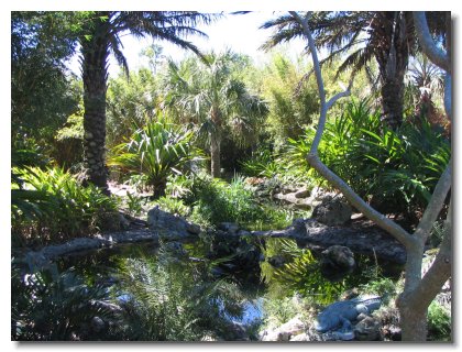 Florida 2006 (34)